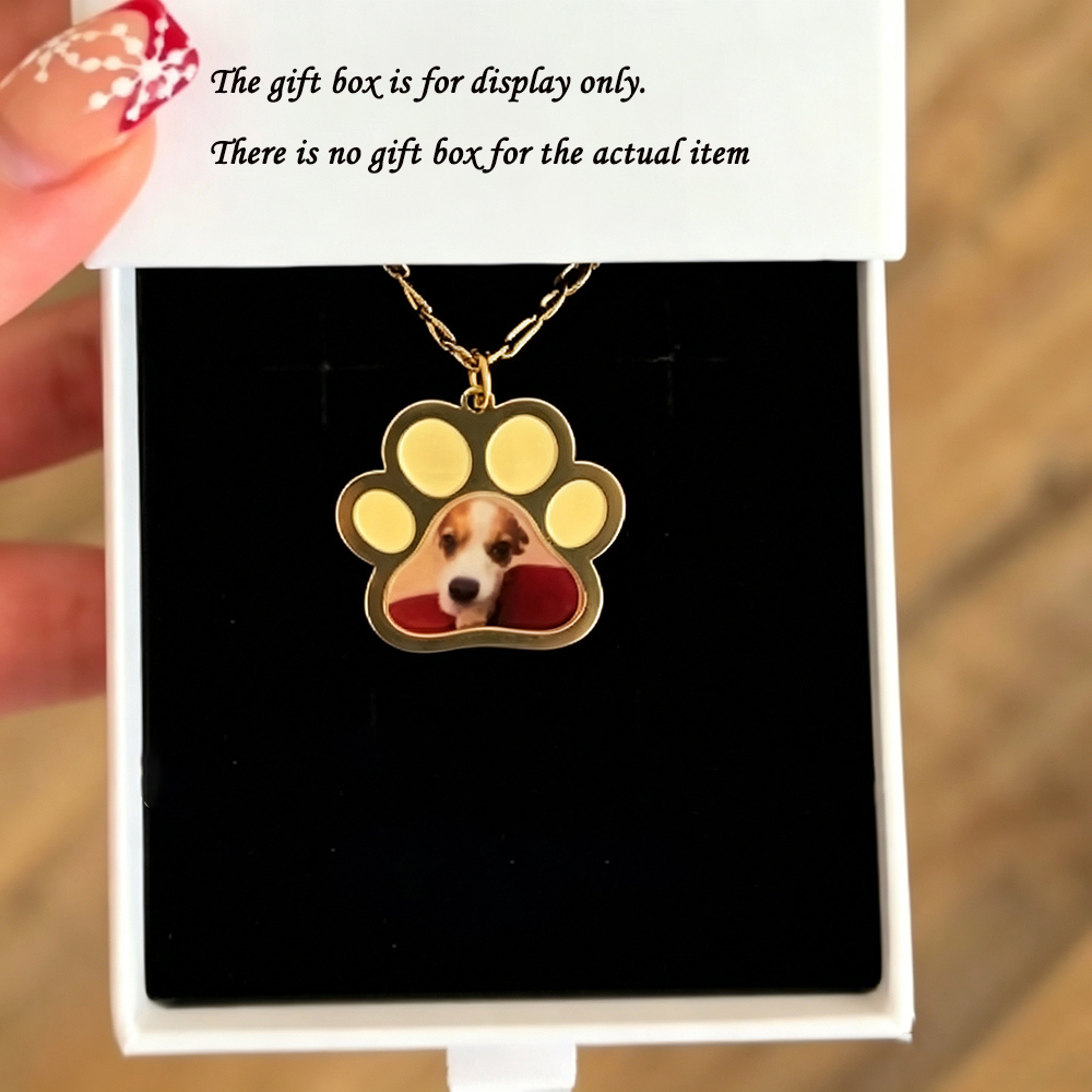 Personalized Pet Paw Colors Pr - Engraved Name Necklace recension och pris